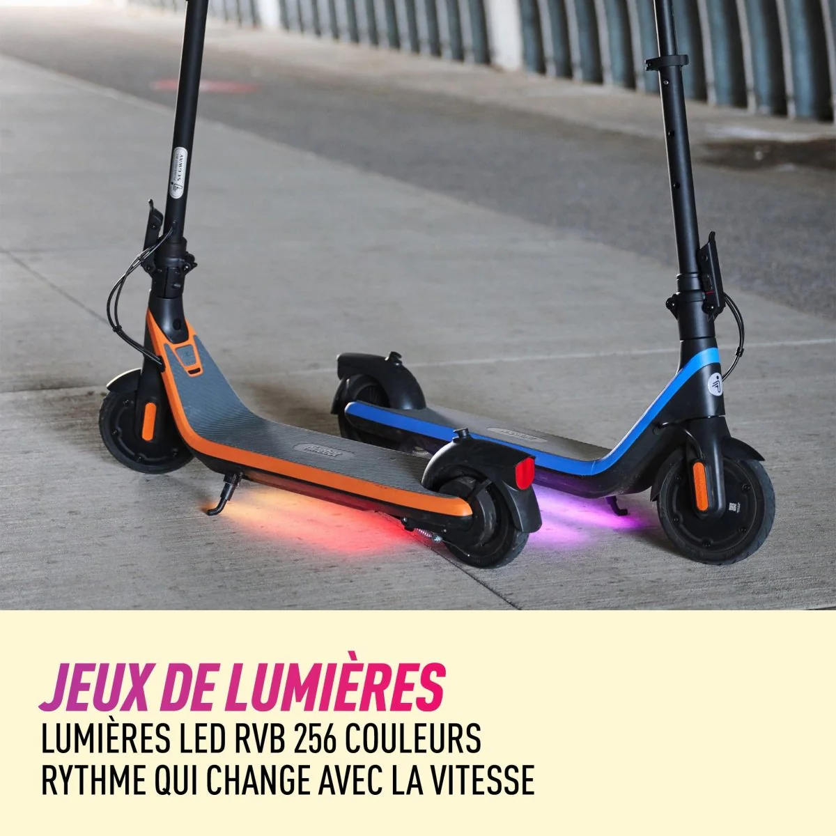 Trottinette électrique Ninebot C2 Segway pour enfant - Image 5
