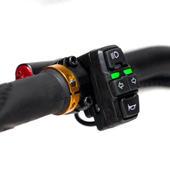 Trottinette Électrique Kaabo Wolf King Gt Pro + - Image 8