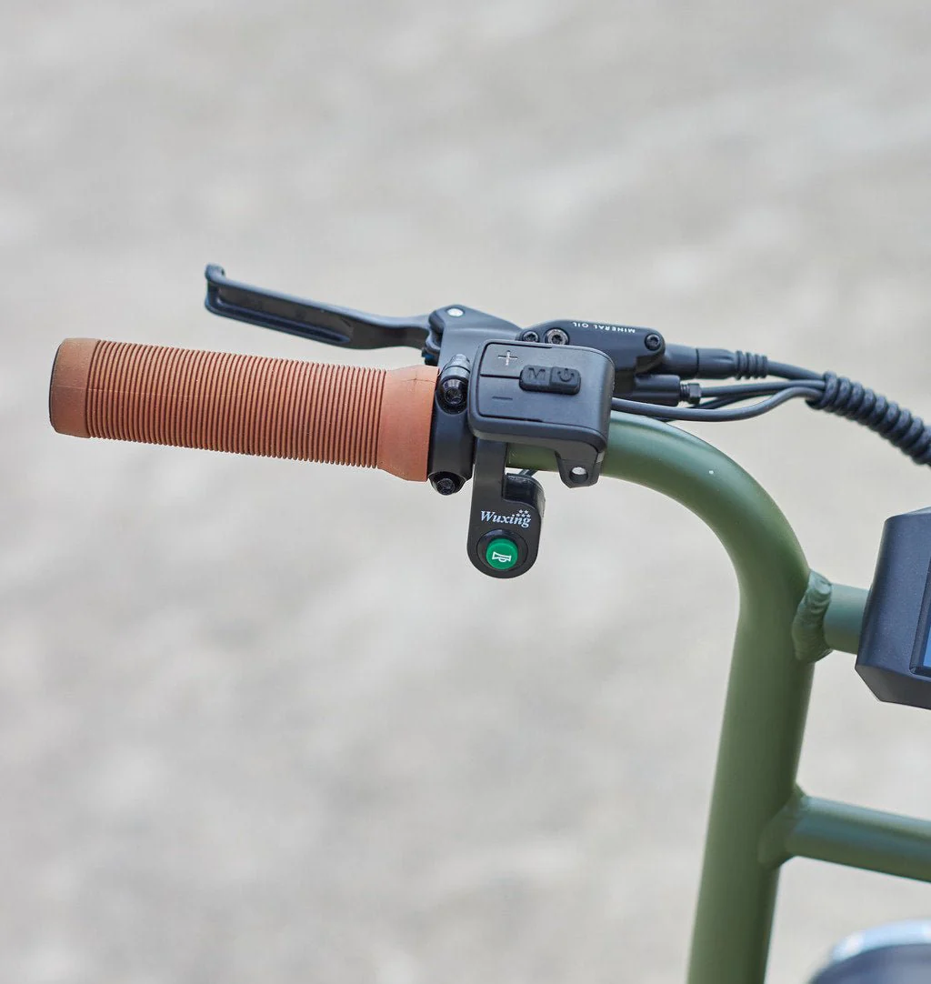 Fatbike Électrique Biplace Cargo Garrett Miller X - Image 16