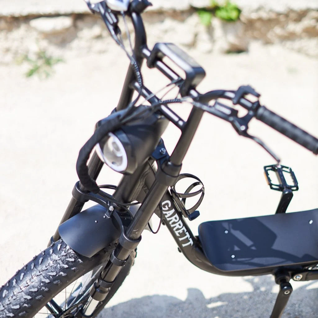 Fatbike Électrique Biplace Cargo Garrett Miller City - Image 10